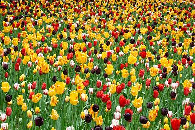 TennoCon2023收官，DE新作Soulframe最新曝光