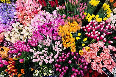 《极限竞速：Motorsport》PC版将于12月9日更新光追全局光照 推荐RTX 3080显卡